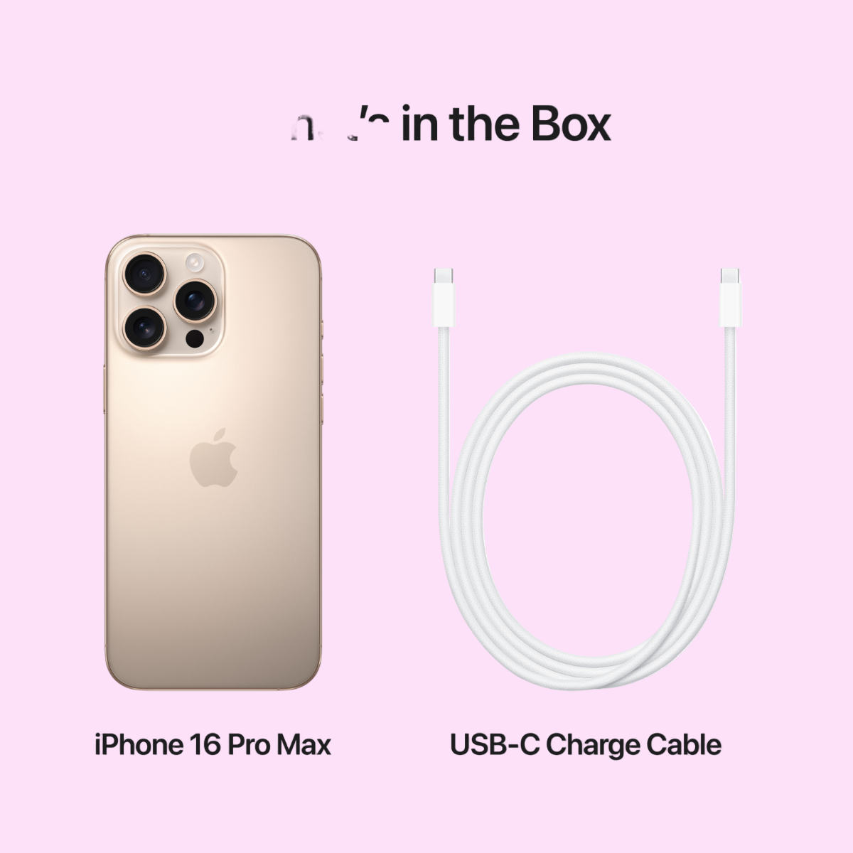 Apple iPhone 16 Pro Max